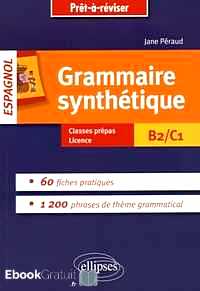 Télécharger ebook gratuit Grammaire synthétique espagnol B2/C1